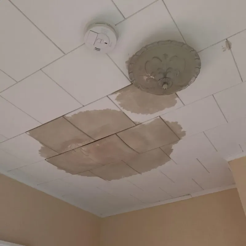 Ceiling Water Damage Repair in Keller, TX